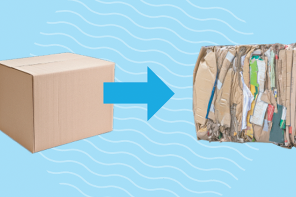 Cardboard box recycling process